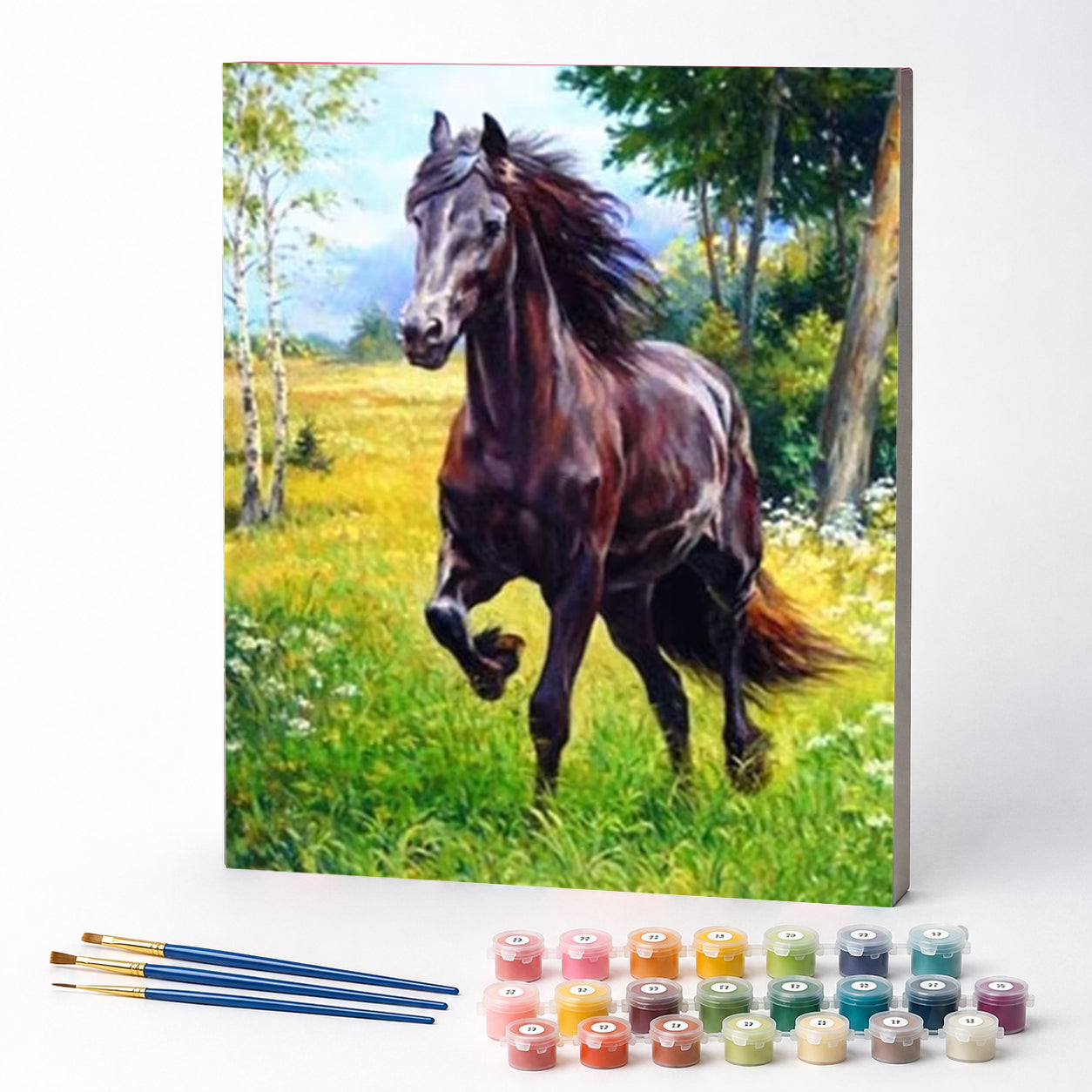 Kit de Pintura Numerada - Galope na Campina