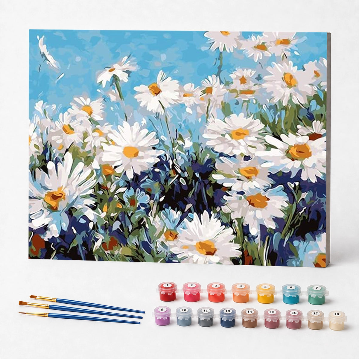 Kit de Pintura Numerada - Margaridas no Jardim