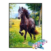 Kit de Pintura Numerada - Galope na Campina