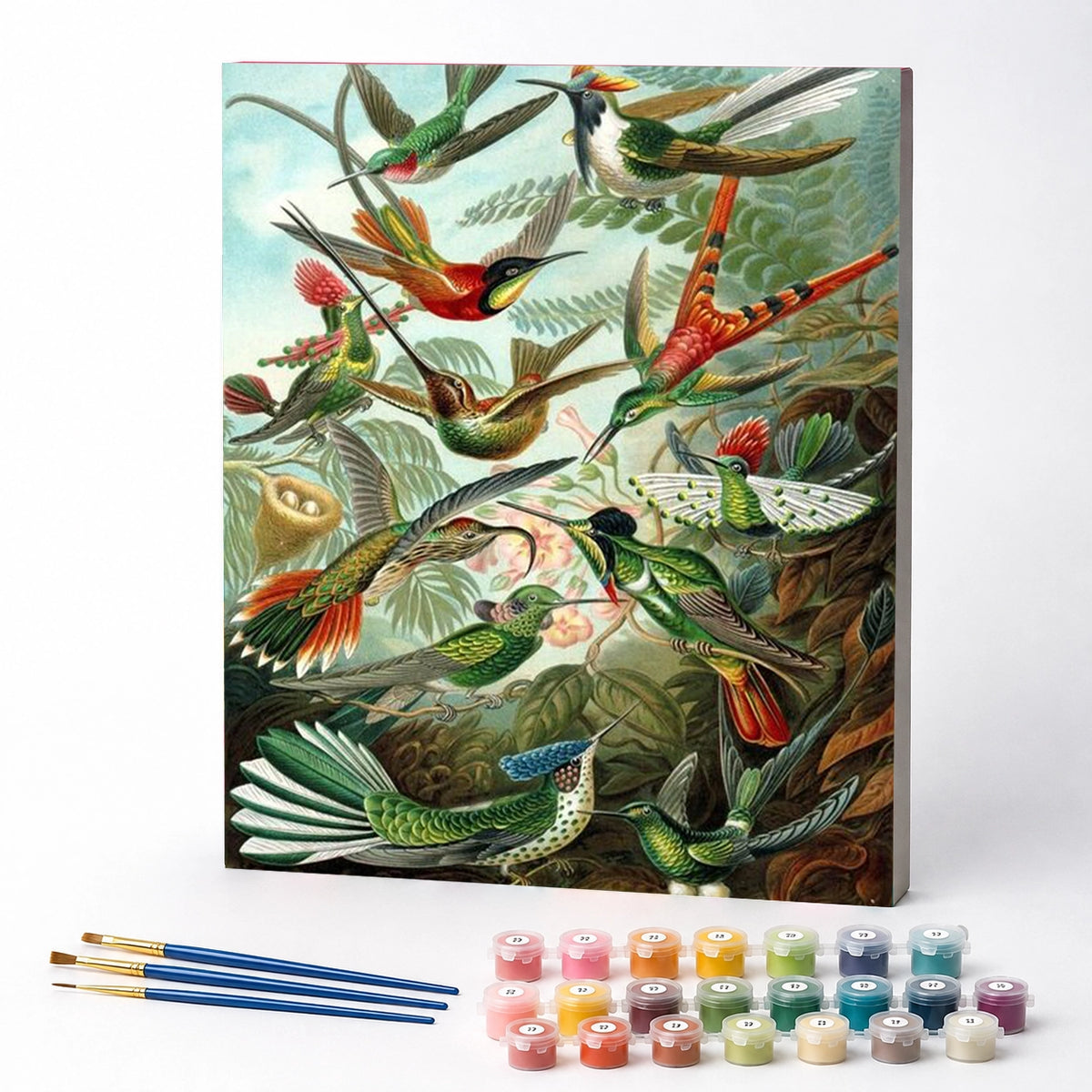 Kit de Pintura Numerada - Beija-flores de Ernst Haeckel