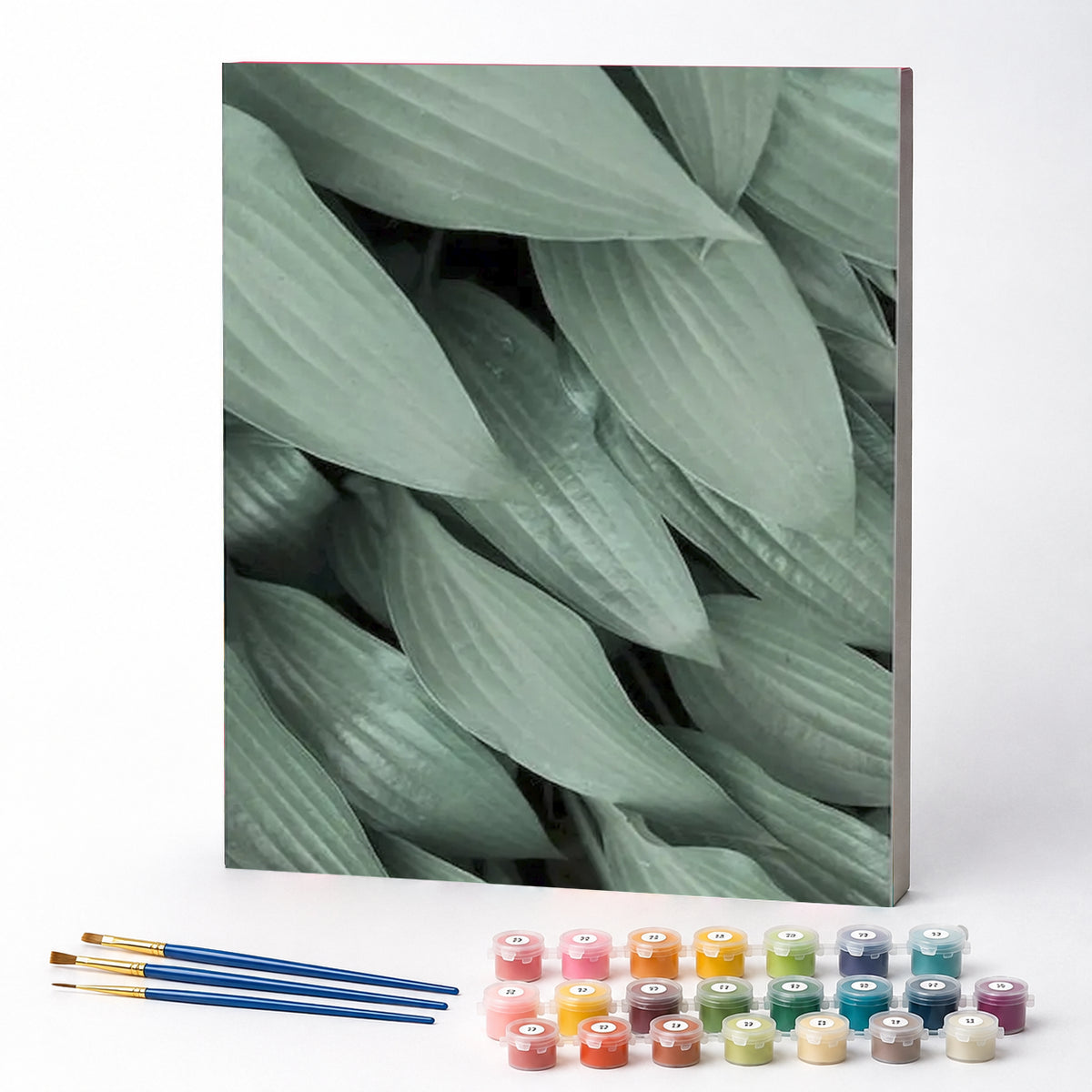 Kit de Pintura Numerada - Folhas de Agave Azul
