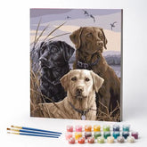 Kit de Pintura Numerada - Labradores