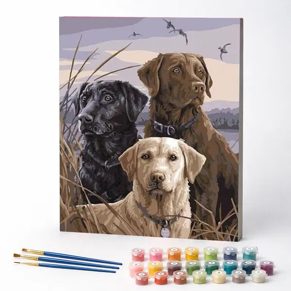 Kit de Pintura Numerada - Labradores