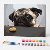 Kit de Pintura Numerada - O Pug Faminto